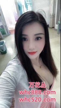 黄埔服务型大波美眉-燕子