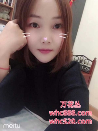 海珠温柔似水女孩-洋葱