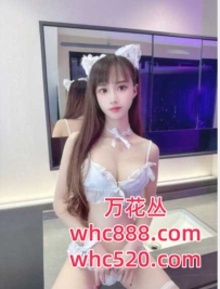 南城自带课室会所专业老师-小月亮