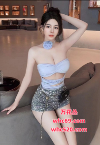 东莞南城D胸大长腿94# 95# - 安琪